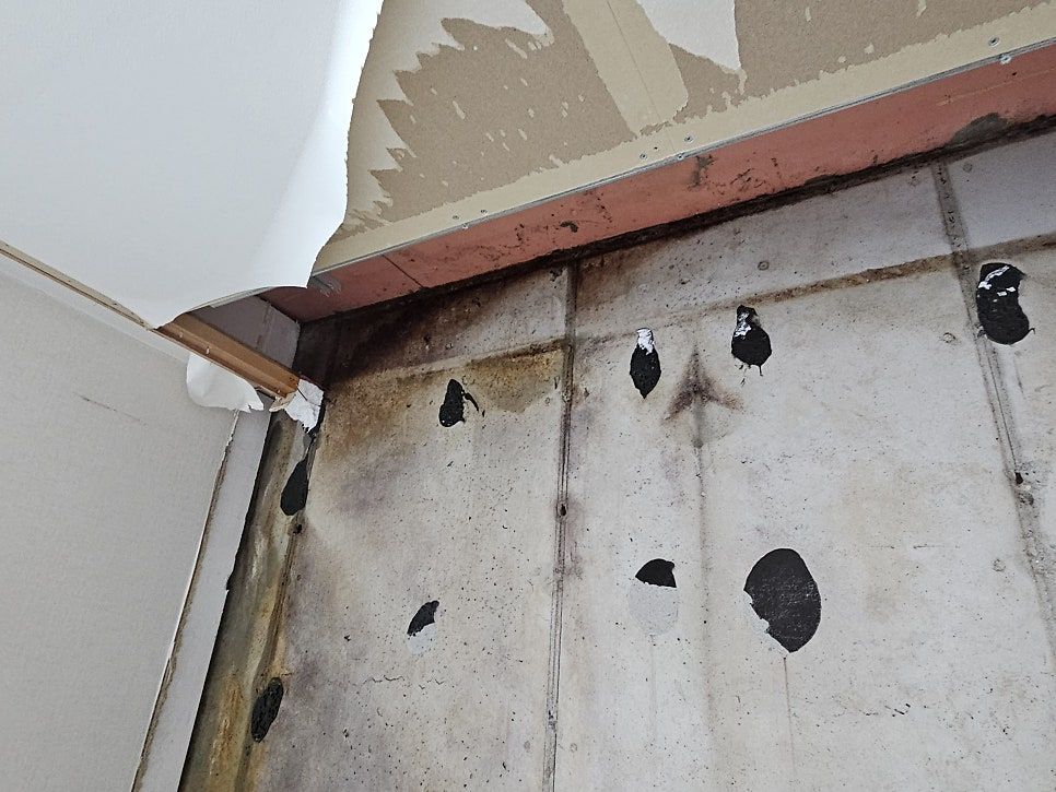 염창동 강변한솔솔파크 32평 리모델링 확장부 결로 · 곰팡이 철거